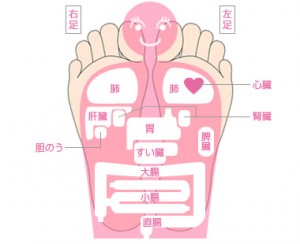 足裏